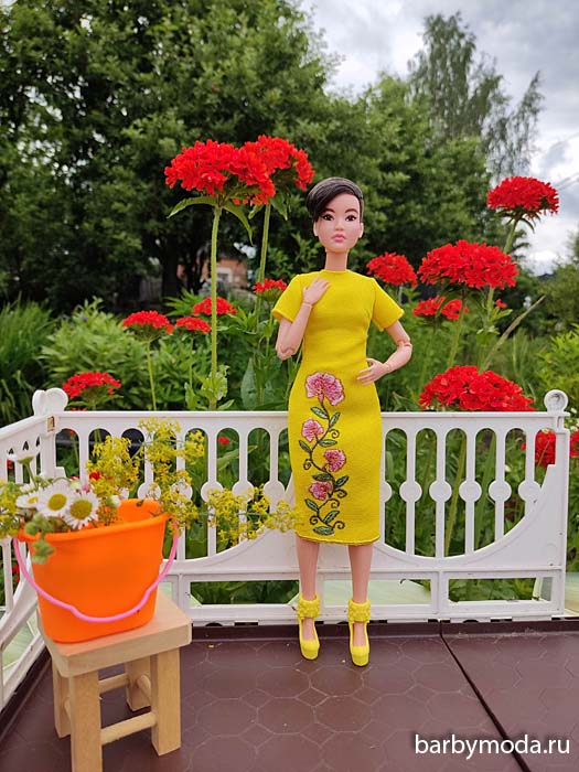 ������� ������ ��� �����-������� 6