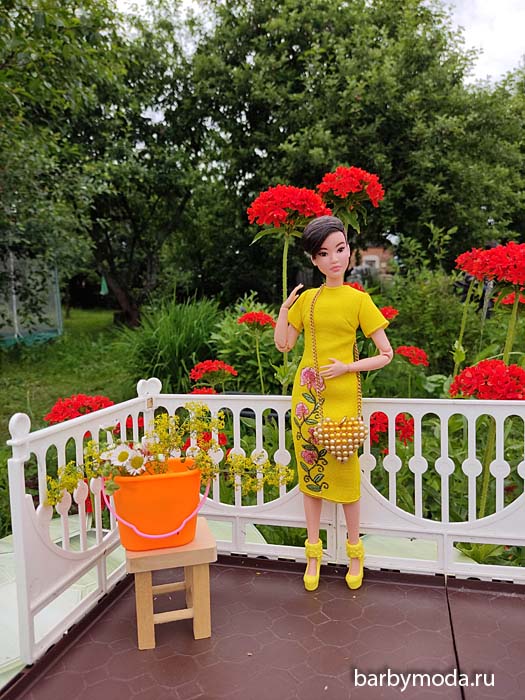 ������� ������ ��� �����-������� 6