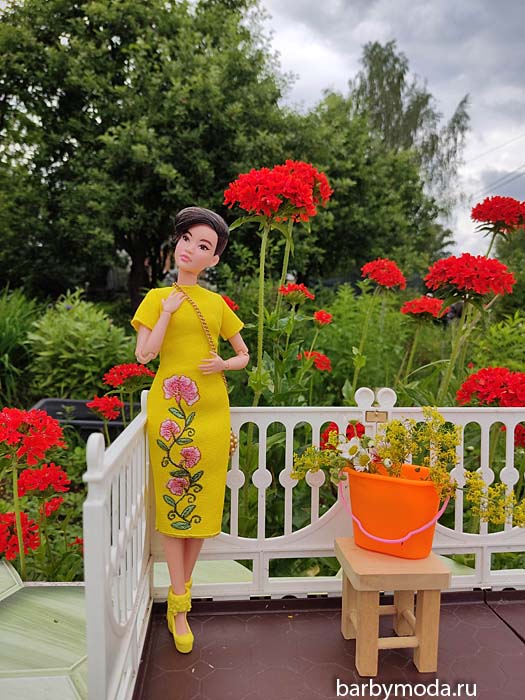 ������� ������ ��� �����-������� 6