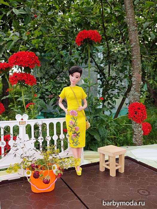 ������� ������ ��� �����-������� 6