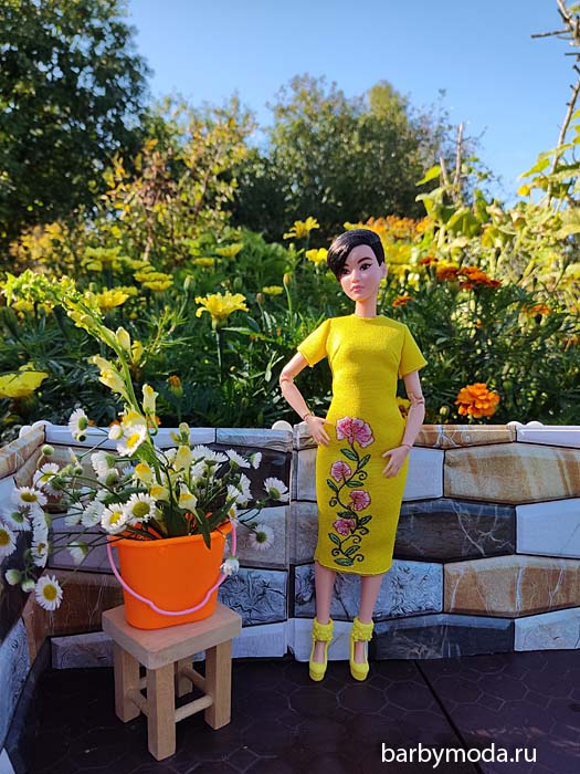 ������� ������ ��� �����-������� 6