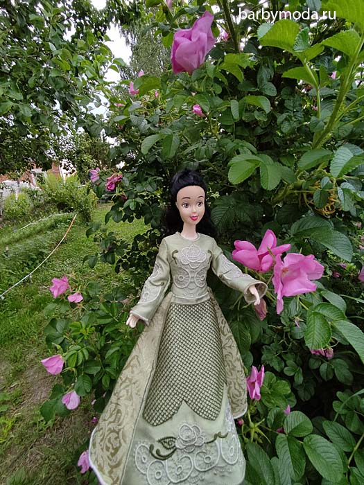 ������� ������ ��� ��������