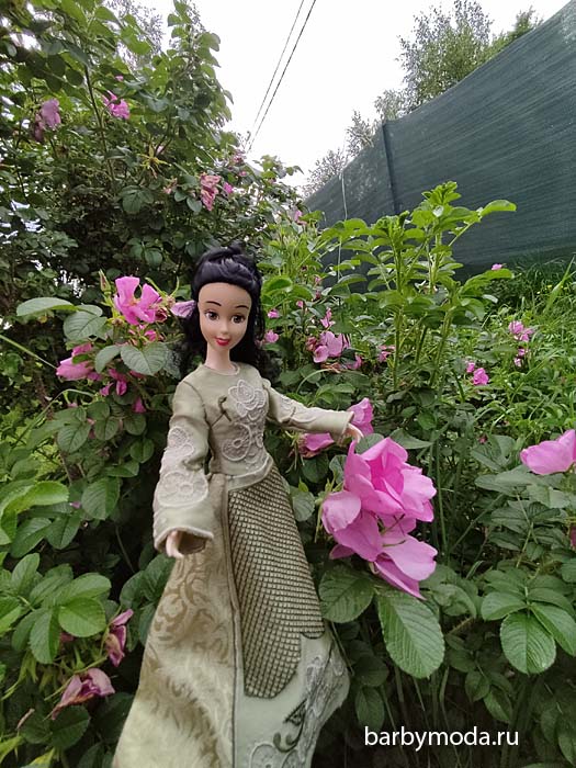 ������� ������ ��� ��������