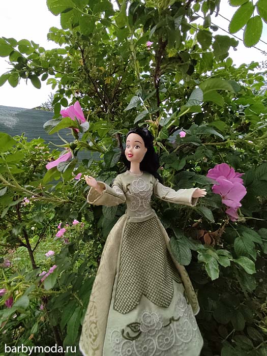 ������� ������ ��� ��������