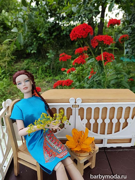 ������� ������ ��� �� �����-����� 14