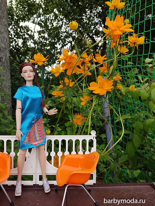 ������� ������ ��� �� �����-����� 14