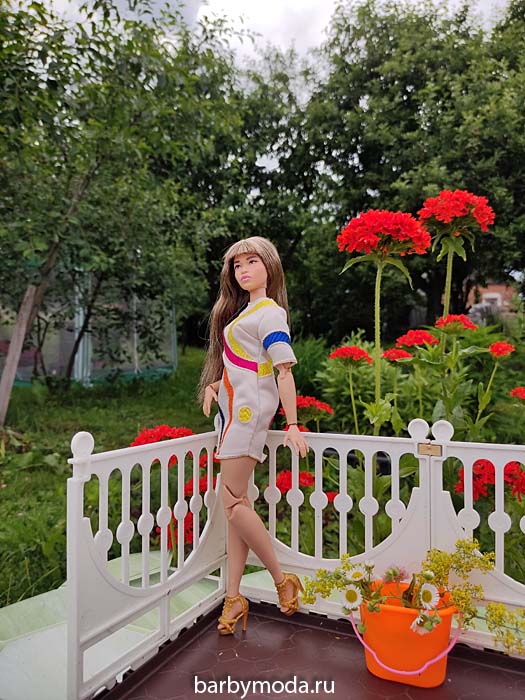 ������� ������ ��� �� �����-����� 12