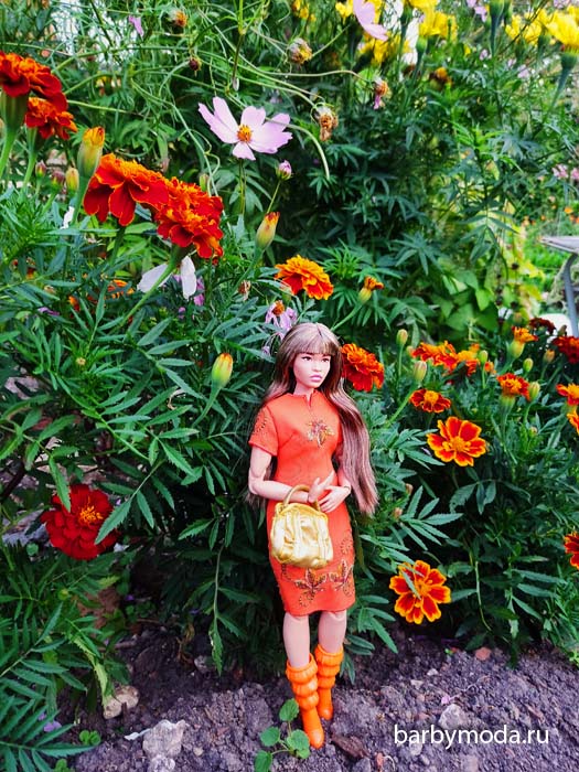 ������� ������ ��� �� �����-����� 16