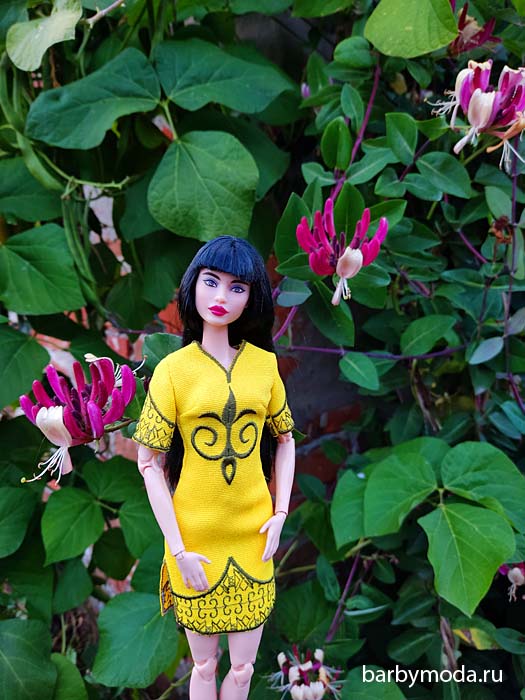 ������� ������ ��� ���� 3