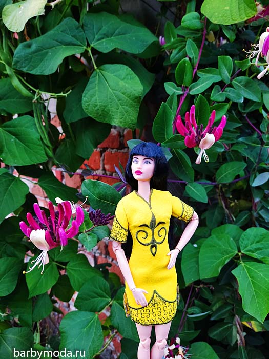 ������� ������ ��� ���� 3