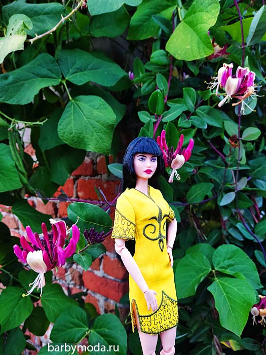 ������� ������ ��� ���� 3