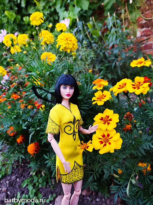 ������� ������ ��� ���� 3