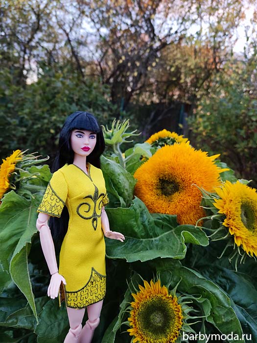 ������� ������ ��� ���� 3