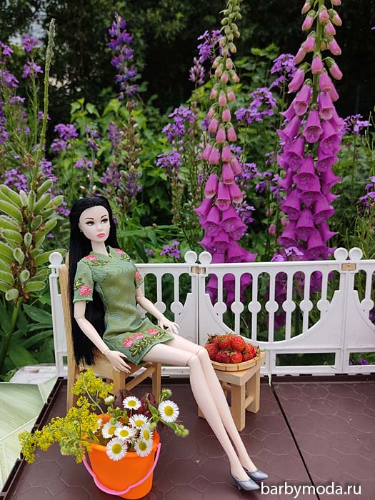 ������� ������ ��� ���� 5