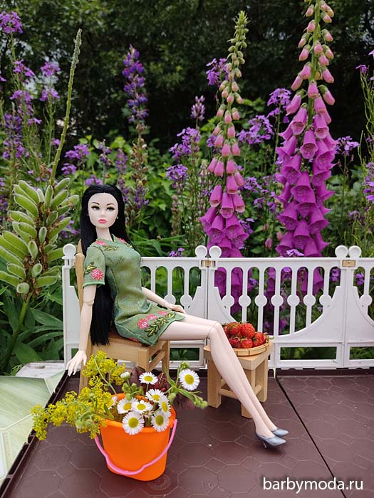 ������� ������ ��� ���� 5