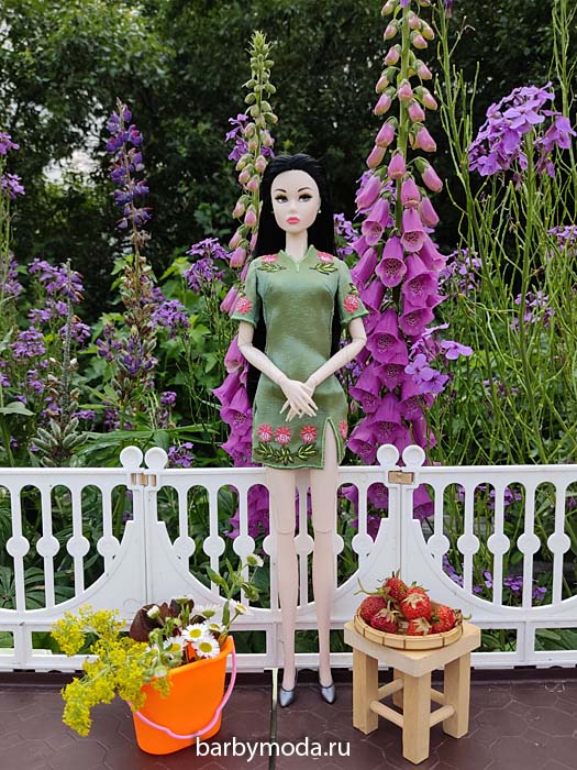 ������� ������ ��� ���� 5