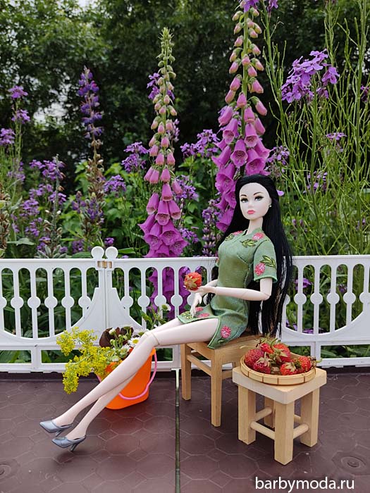 ������� ������ ��� ���� 5