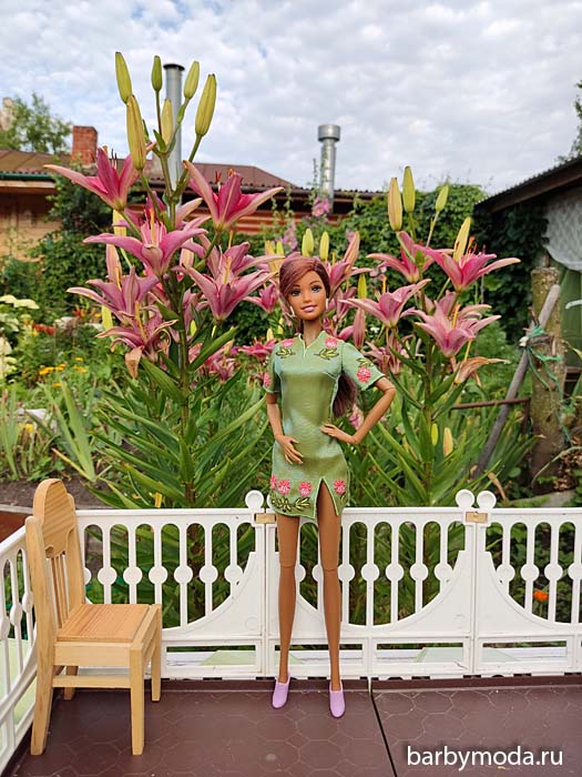 ������� ������ ��� ���� 5