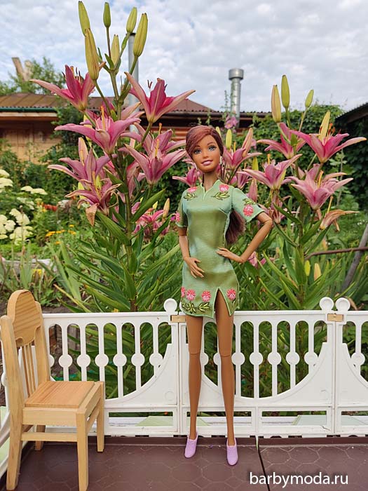 ������� ������ ��� ���� 5