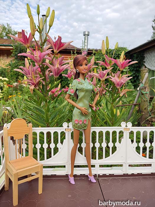 ������� ������ ��� ���� 5