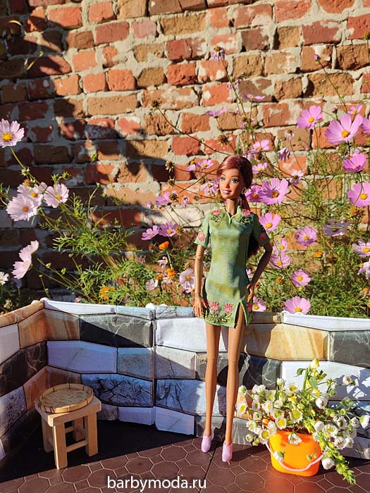 ������� ������ ��� ���� 5