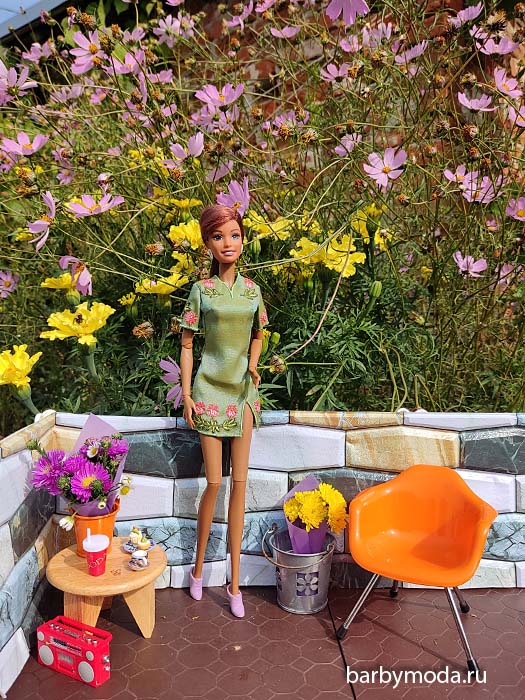 ������� ������ ��� ���� 5