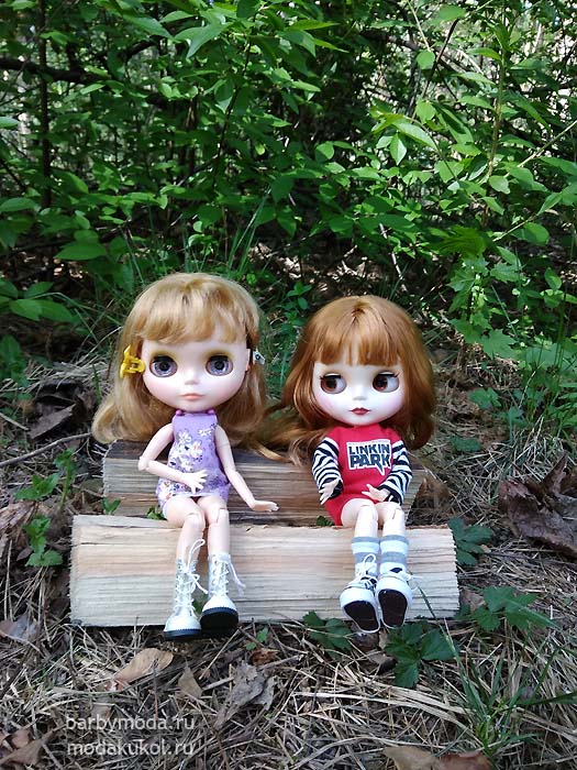 Ласка и Касси в весеннем лесу