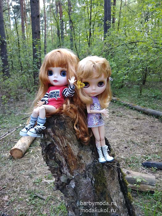 Ласка и Касси в весеннем лесу